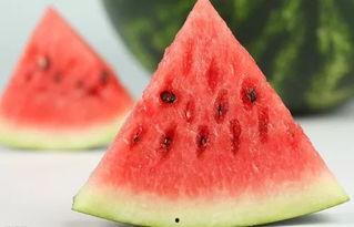 娱乐吃瓜君白莲花,娱乐吃瓜君的甜蜜诱惑