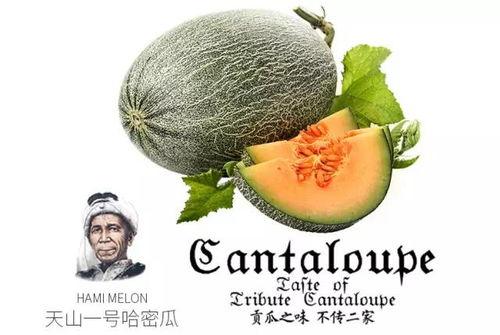 吃瓜群众网众包,众包力量助力热点事件追踪