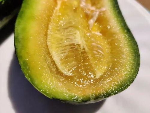 云木吃瓜网,揭秘娱乐圈幕后故事，带你领略明星真实生活