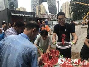 吃瓜网朝阳区,吃瓜网带你探秘京城繁华之地”