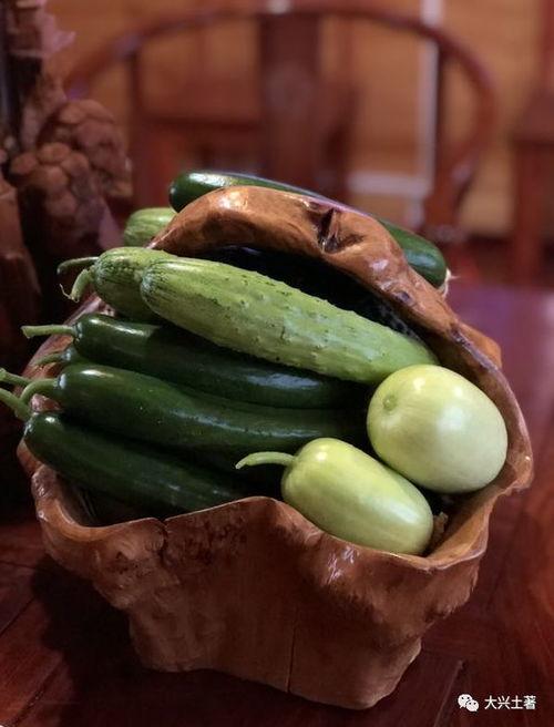 网红吃瓜杨,揭秘娱乐圈幕后真相的“瓜王”