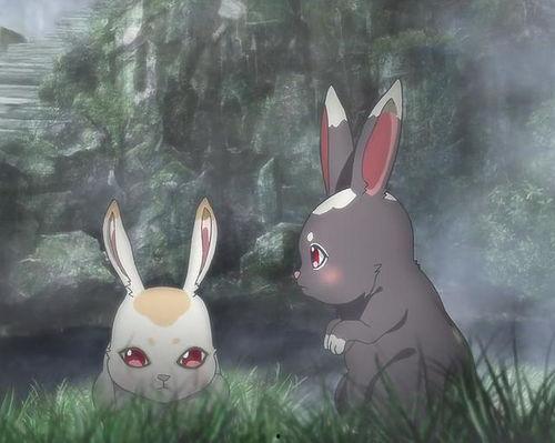 娱乐吃瓜小兔子小说,小兔子吃瓜记