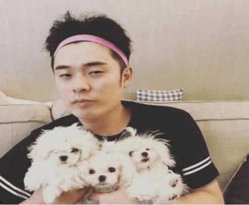 娱乐吃瓜君陈赫