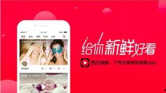 吃瓜娱乐封面怎么做视频,揭秘吃瓜娱乐封面视频制作全攻略