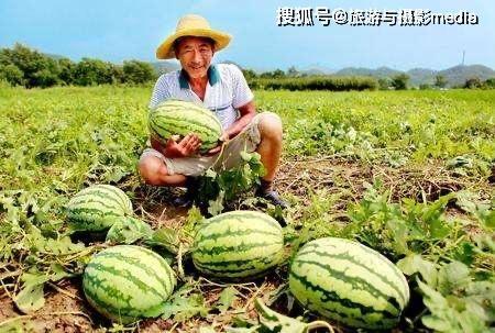 回家的路吃瓜网