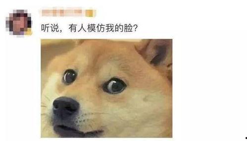 微信表情包吃瓜代表什么意思,微信表情包“吃瓜”背后的网络文化解读