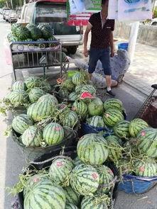 无锡网红吃瓜事件,揭秘网络舆论的风暴与真相