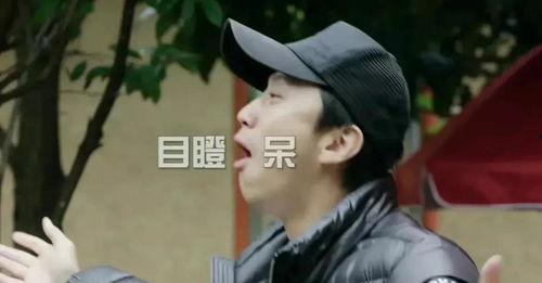 吃瓜老衲娱乐圈博主小说