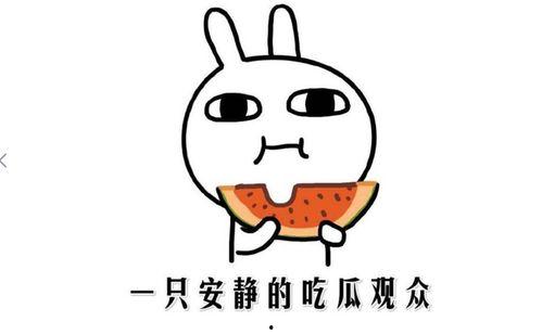 娱乐吃瓜名字怎么取的啊